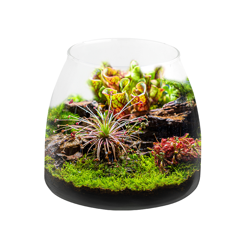 Aquarium Plants For Sale - Plant Bottle Fish Tank Accessories Hot