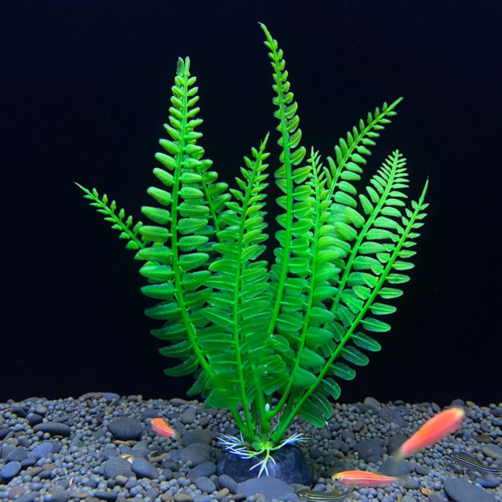 Fish Tank Ornament Plant Aquar - Planted Aquarium Bowl reseña y precio