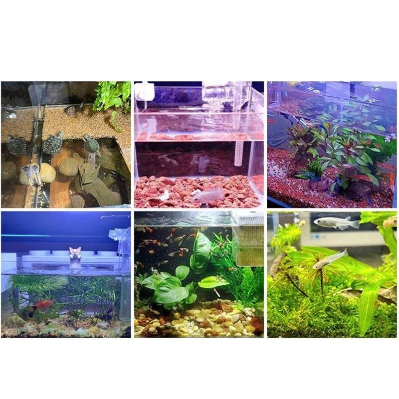 Small Aquarium Fish Bowl LED L - Planted Aquarium Bowl reseña y precio