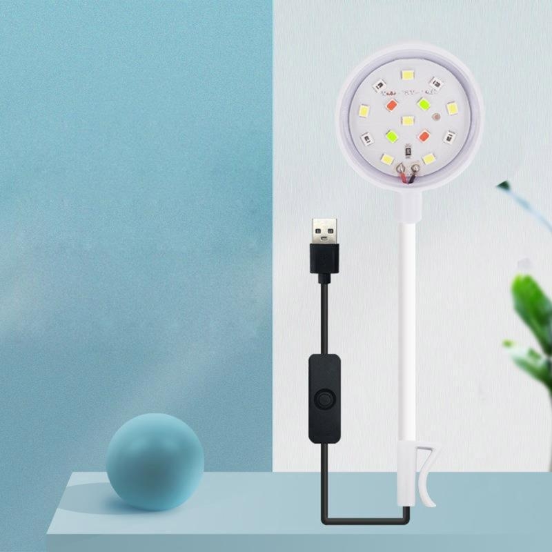 Small Aquarium Fish Bowl LED L - Planted Aquarium Bowl reseña y precio