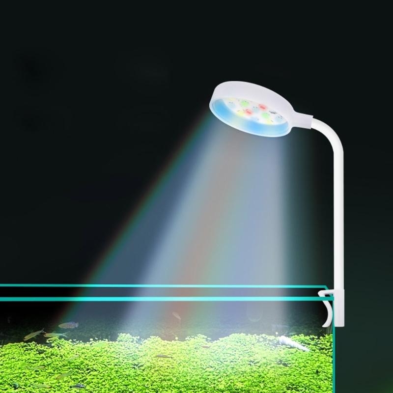 Small Aquarium Fish Bowl LED L - Planted Aquarium Bowl reseña y precio