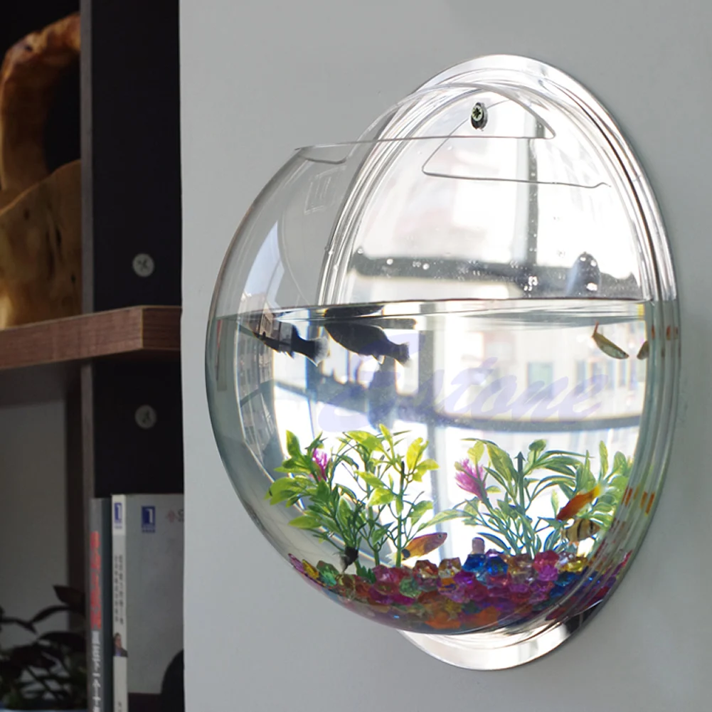 Wall Mounted Acrylic Fish Bowl - Planted Aquarium Bowl reseña y precio