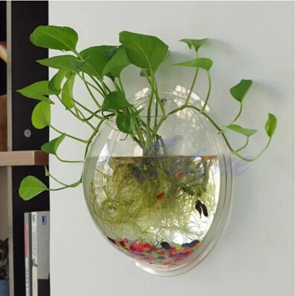 Wall Mounted Acrylic Fish Bowl - Planted Aquarium Bowl reseña y precio