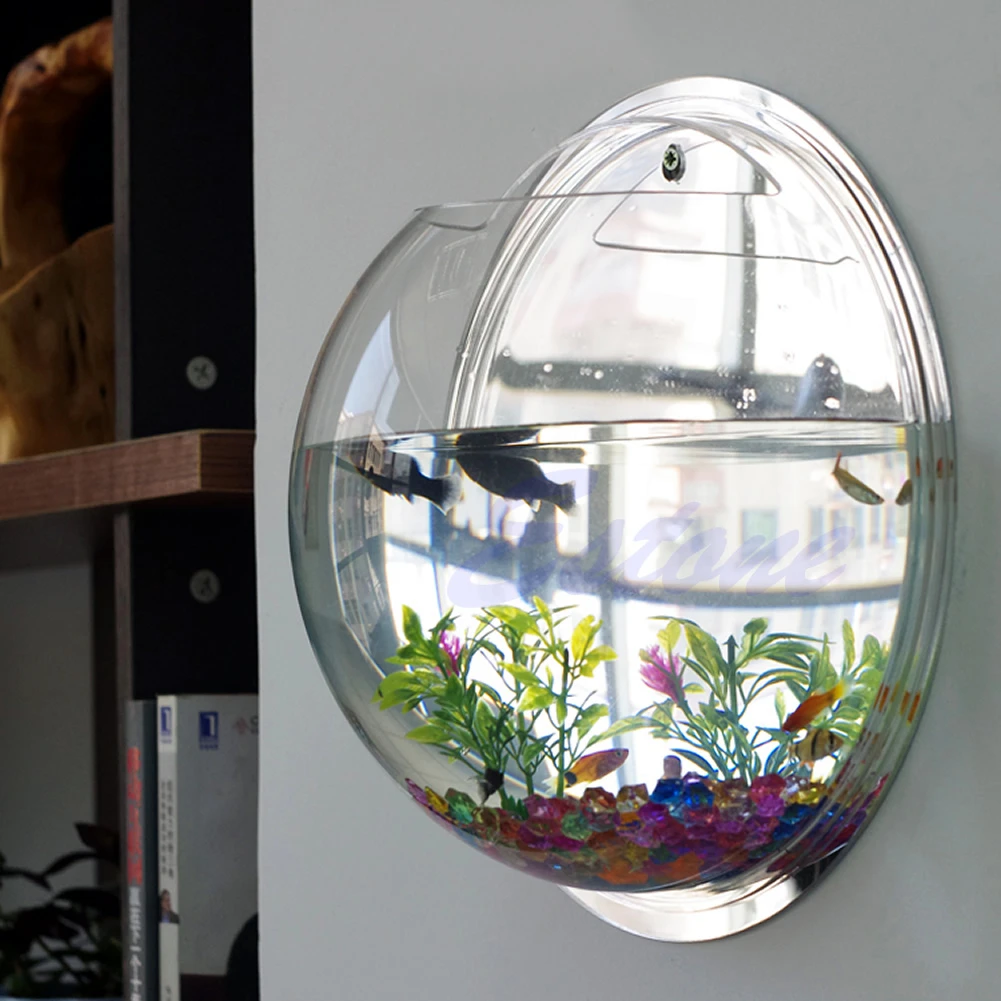 Wall Mounted Acrylic Fish Bowl - Planted Aquarium Bowl reseña y precio