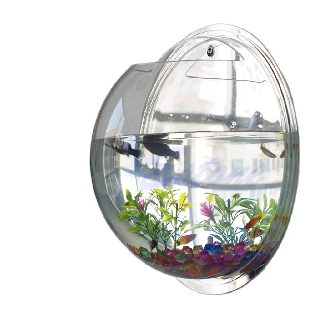 Wall Mounted Acrylic Fish Bowl - Planted Aquarium Bowl reseña y precio