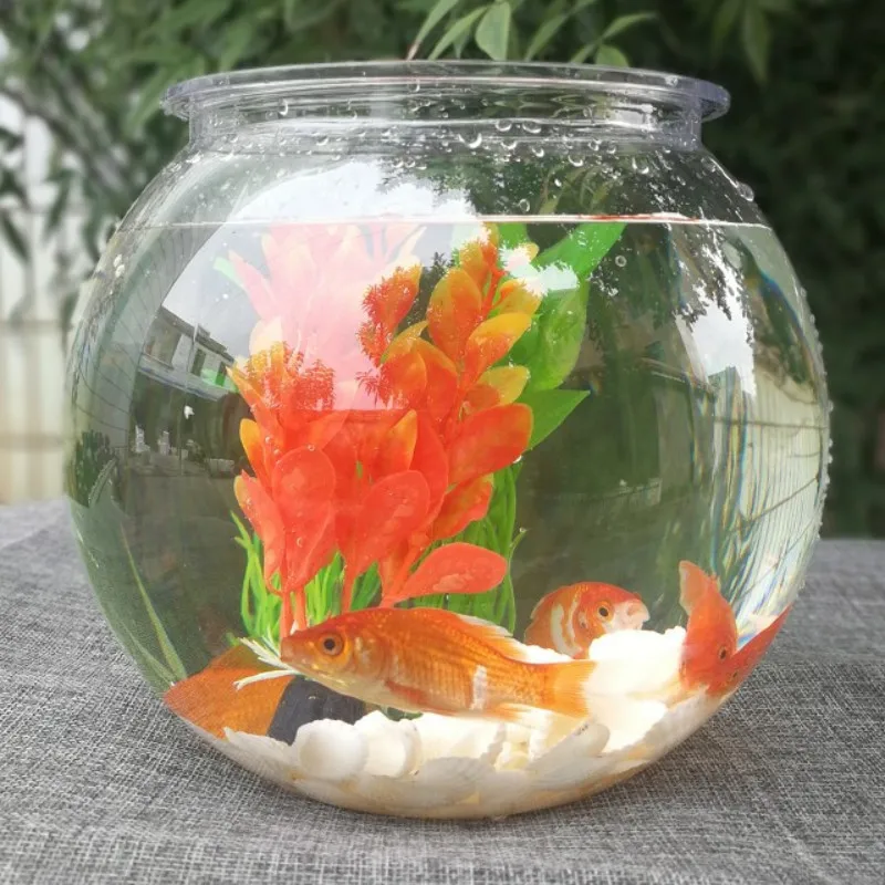 Goldfish bowl desktop transpar - Planted Aquarium Bowl reseña y precio
