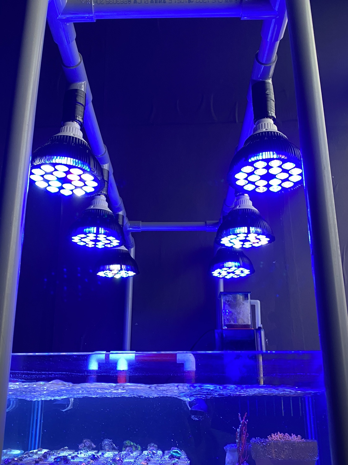 Full specturm LED Aquarium Ree - Aquarium Plant Growth reseña y precio