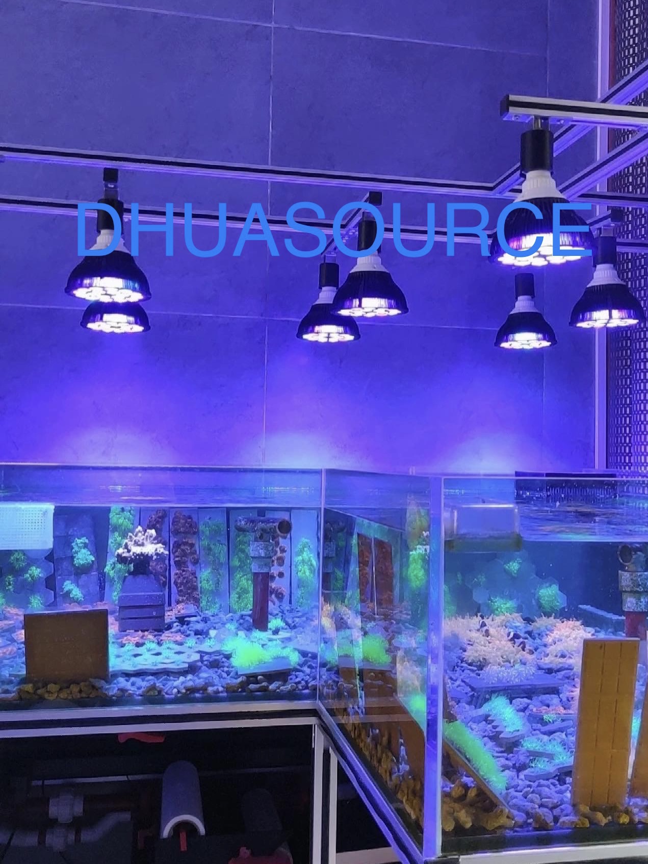 Full specturm LED Aquarium Ree - Aquarium Plant Growth reseña y precio