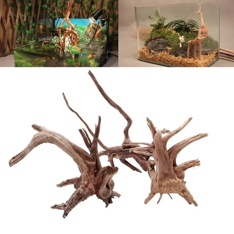 Natural Tree Trunk Driftwood A - Aquarium Plant Guide reseña y precio
