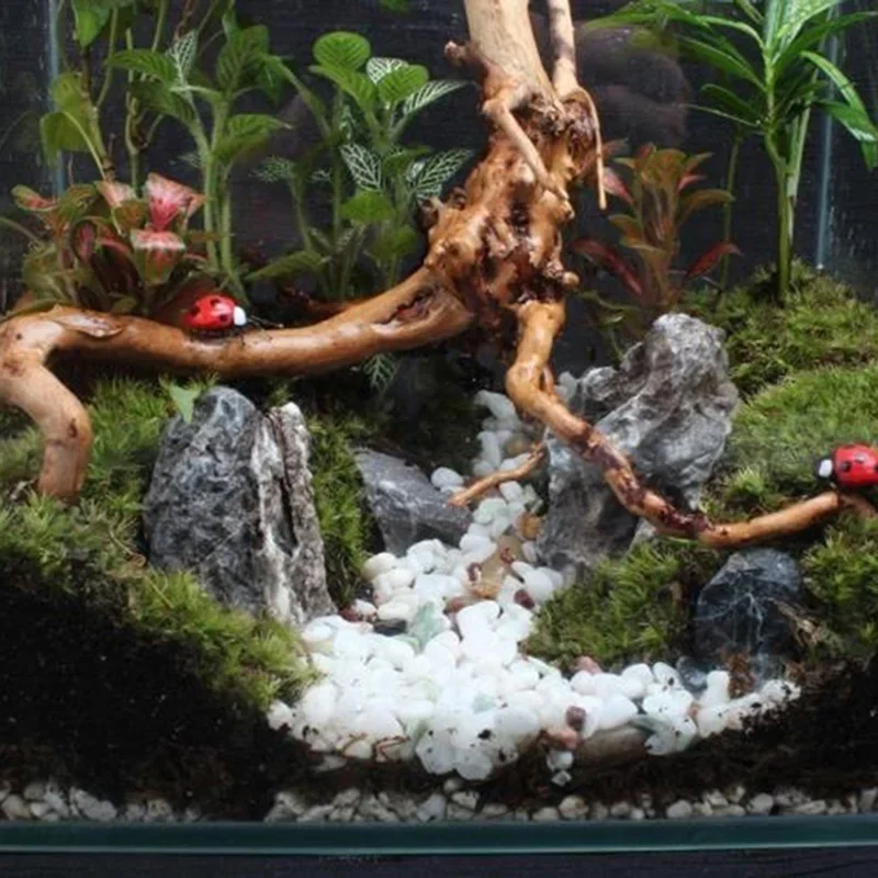 Natural Tree Trunk Driftwood A - Aquarium Plant Guide reseña y precio