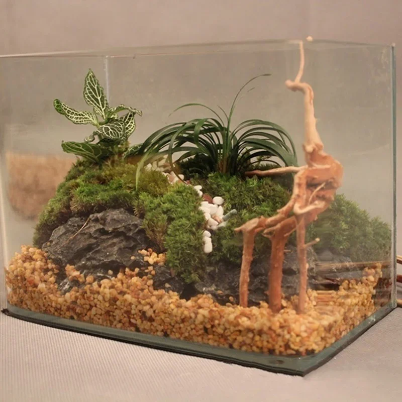 Natural Tree Trunk Driftwood A - Aquarium Plant Guide reseña y precio