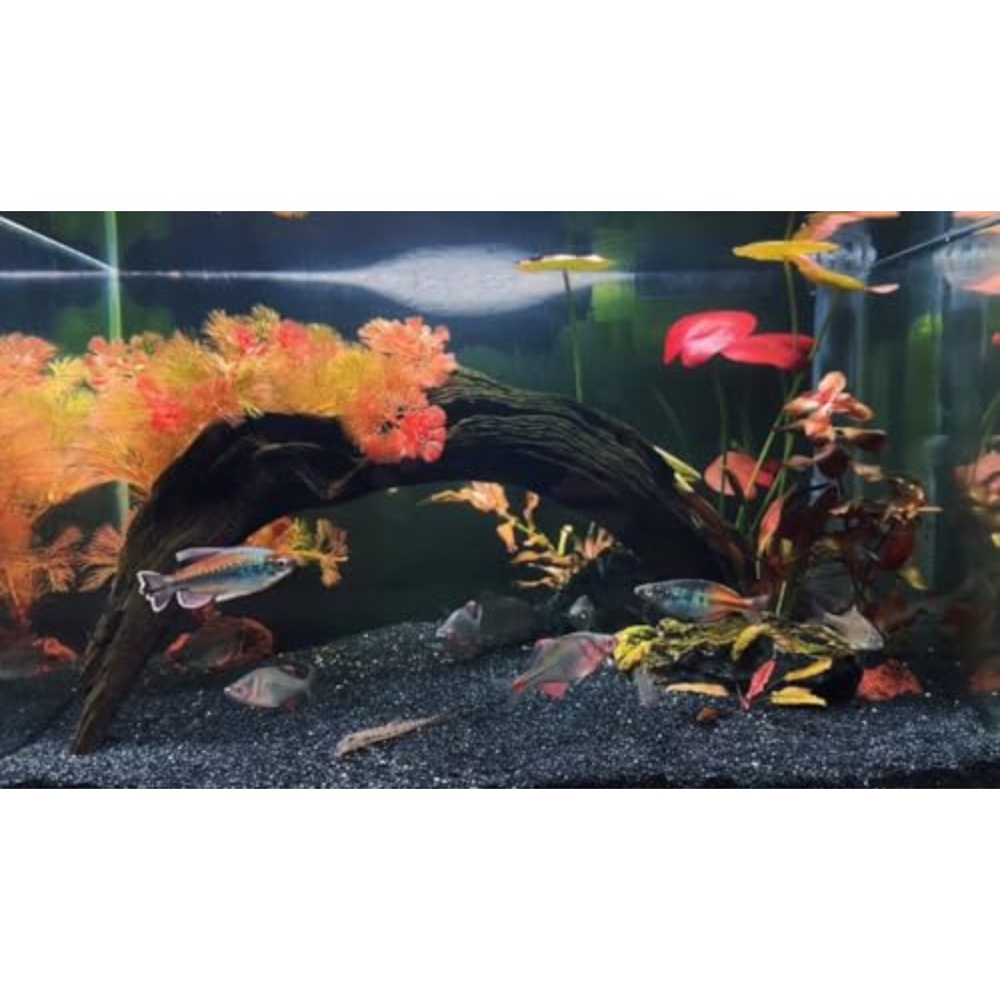 Aquarium Sand, 0 Fish Tank San - Aquarium Planted Substrate reseña y precio