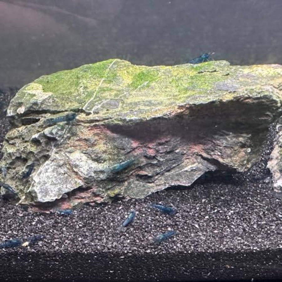 Aquarium Sand, 0 Fish Tank San - Aquarium Planted Substrate reseña y precio