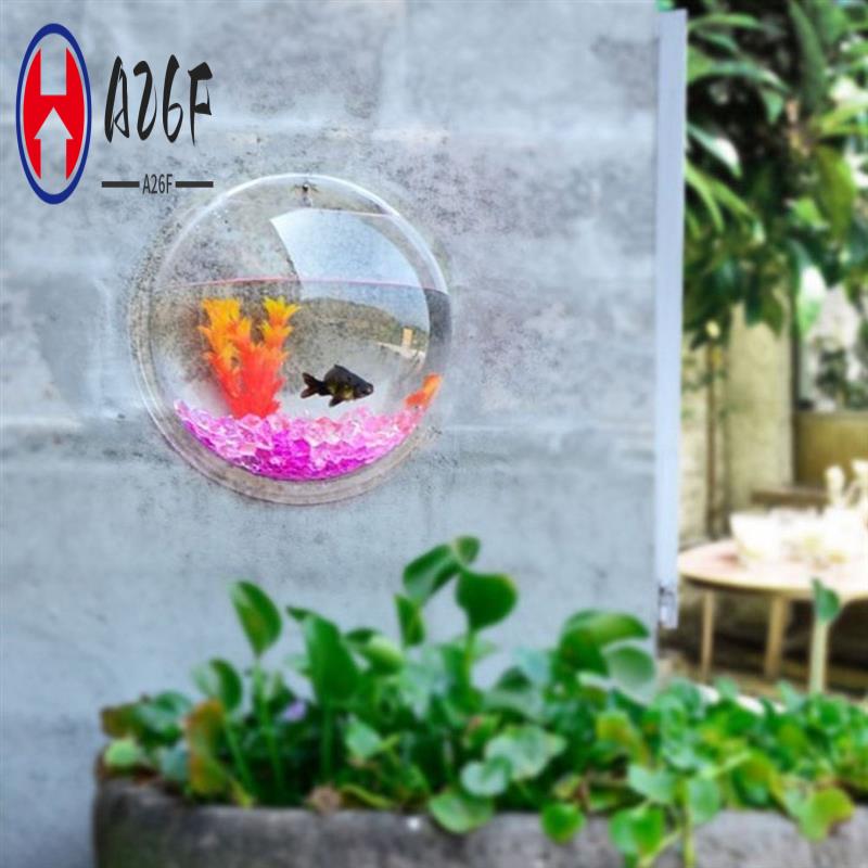 A26F-Transparent Plant Pot Wal - Planted Aquarium Bowl reseña y precio