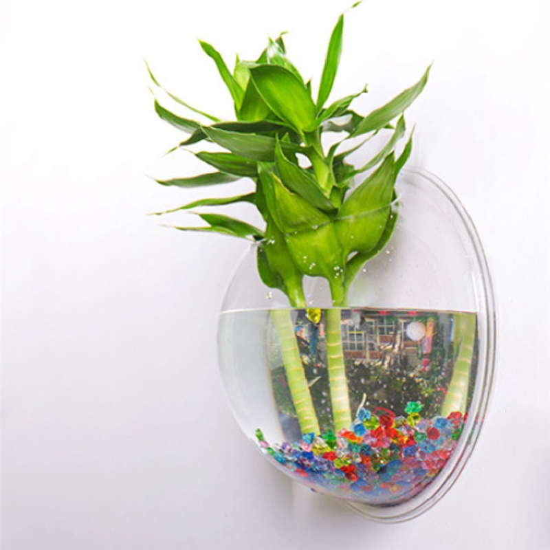 A26F-Transparent Plant Pot Wal - Planted Aquarium Bowl reseña y precio