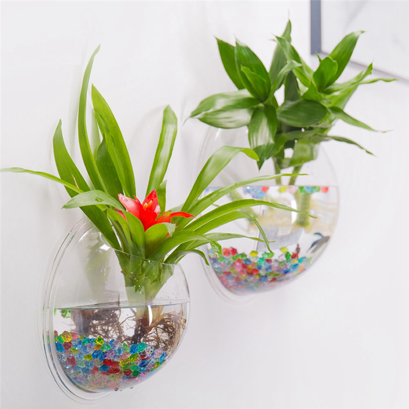 A26F-Transparent Plant Pot Wal - Planted Aquarium Bowl reseña y precio