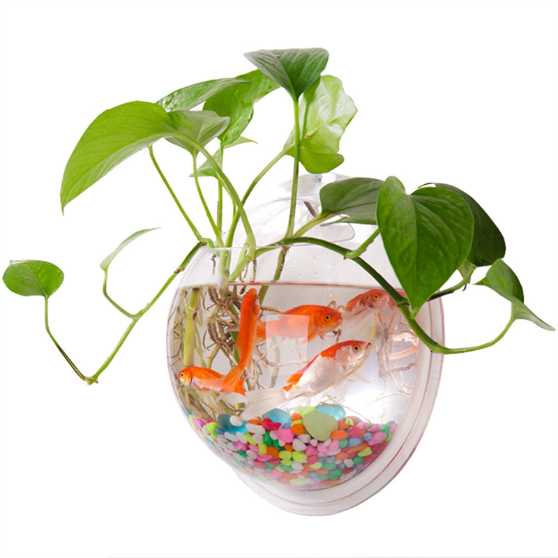 A26F-Transparent Plant Pot Wal - Planted Aquarium Bowl reseña y precio