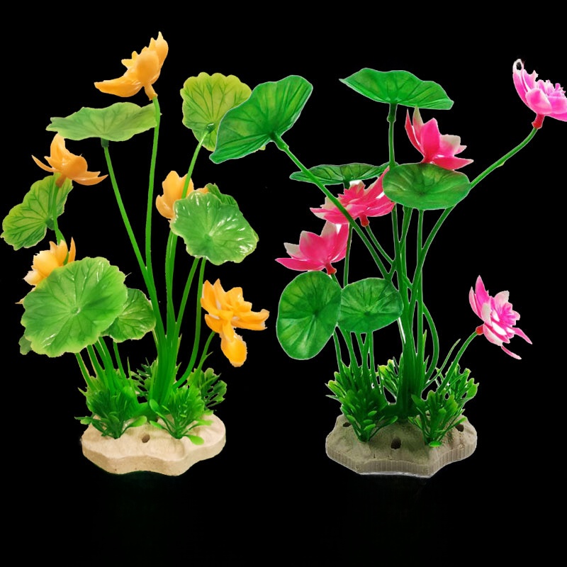 Aquarium Lacape Decoration Ro  - Planted Aquarium Bowl reseña y precio