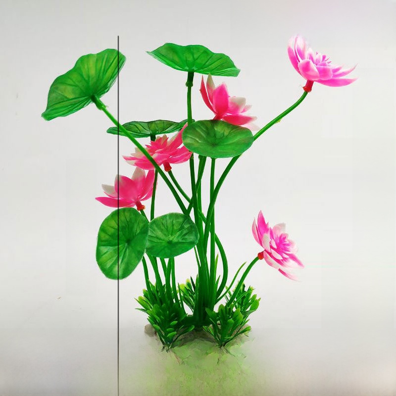 Aquarium Lacape Decoration Ro  - Planted Aquarium Bowl reseña y precio