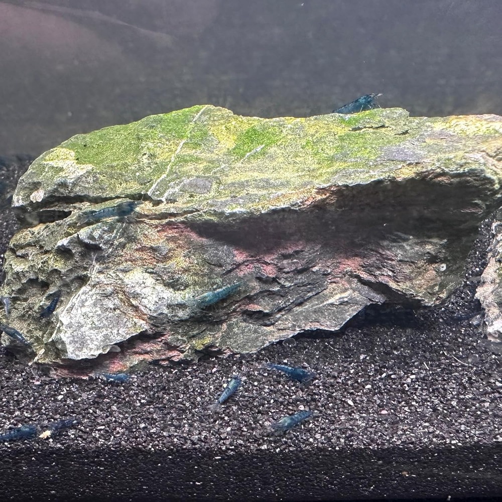 Black Aquarium Sand 2lbs, Fine - Aquarium Planted Substrate reseña y precio