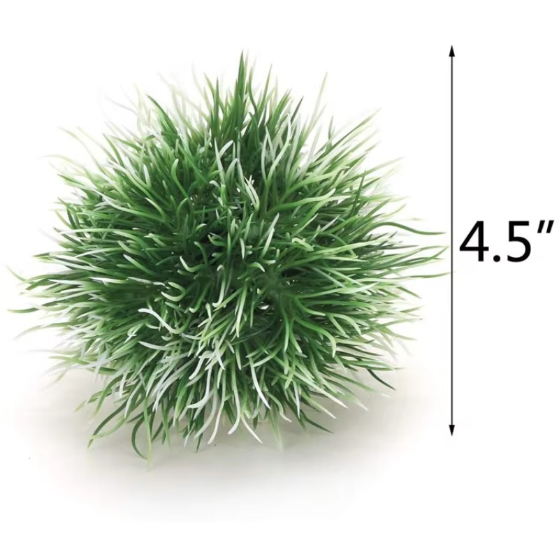 10pcs Hot Selling New Arrival  - Aquarium Plants For Sale reseña y precio