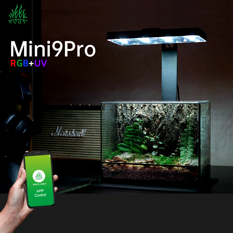 Hot Sale Mini9pro Nano Terrari - Aquarium Plants For Sale reseña y precio