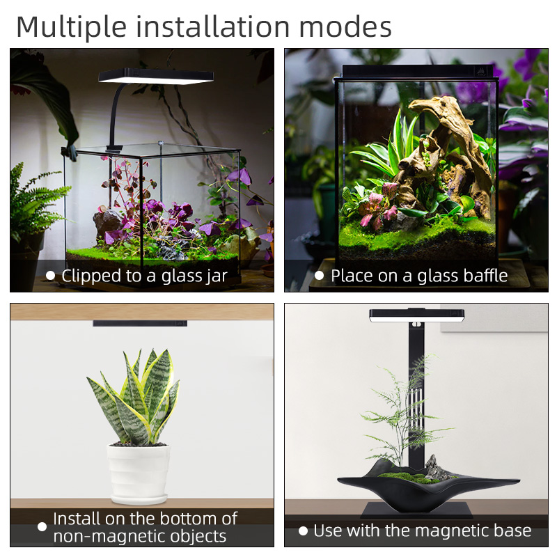Hot Sale Mini9pro Nano Terrari - Aquarium Plants For Sale reseña y precio
