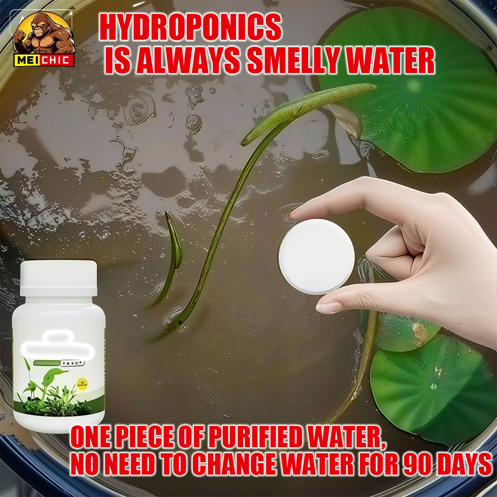Water Purification Tablets for - Aquarium Plant Vitamins reseña y precio