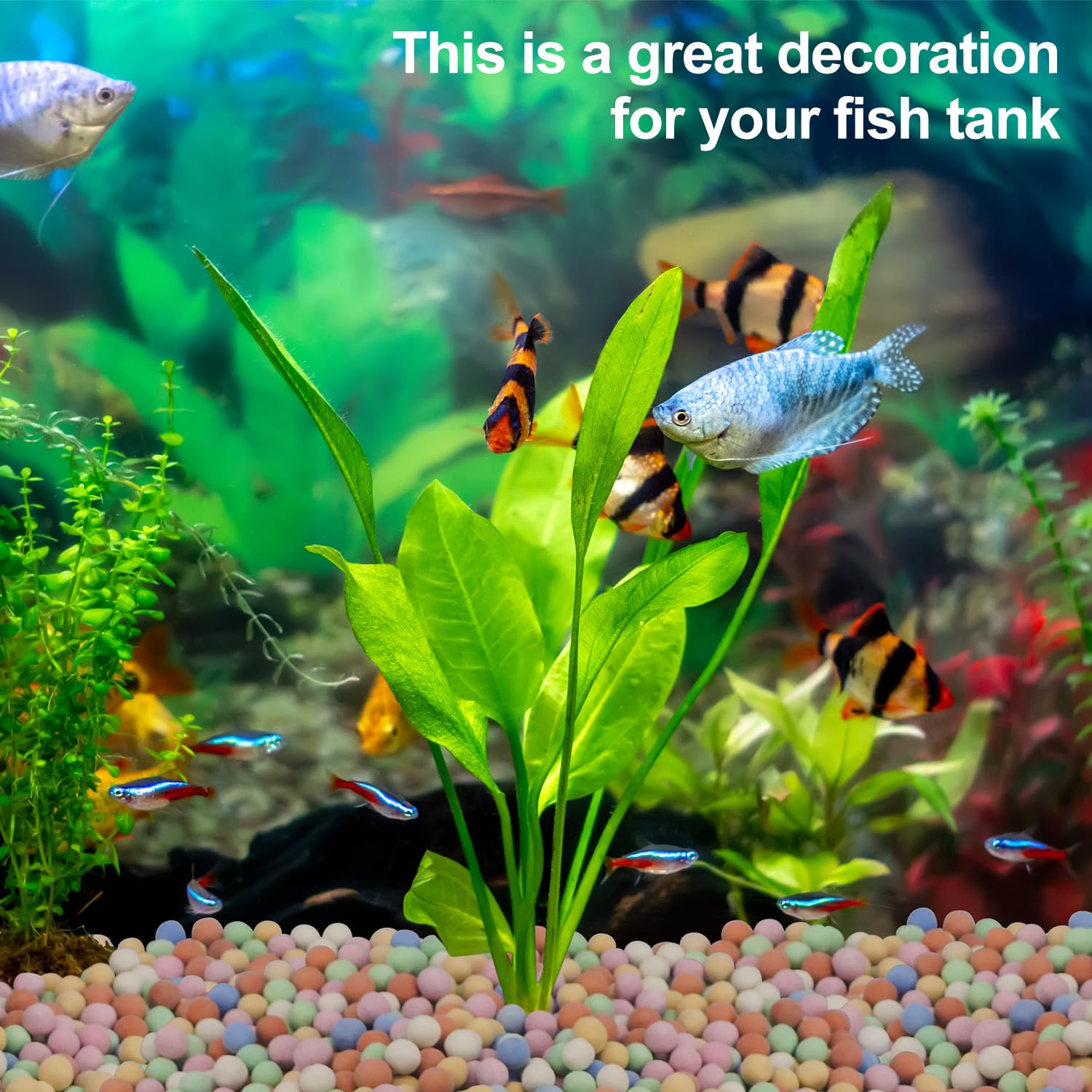 Hydroponic Plant Decorative Co - Aquarium Plant Vitamins reseña y precio