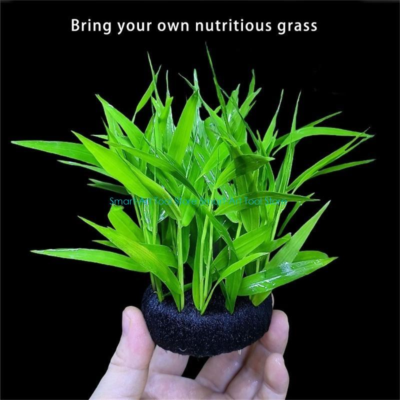 E1PB Nutrient Rich Resin Subst - Aquarium Planted Substrate reseña y precio
