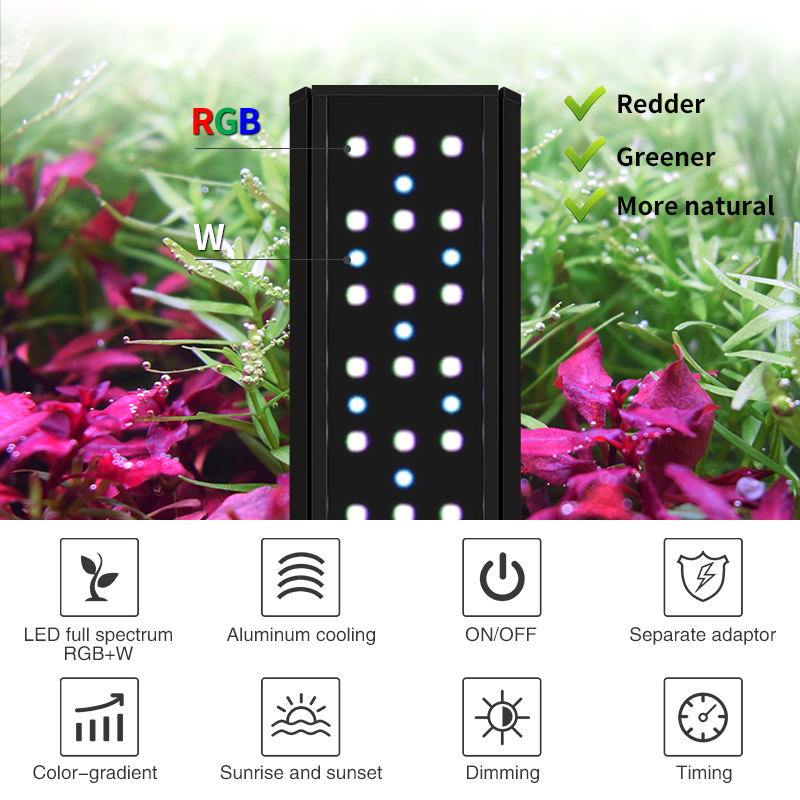 ZXY Hot Sale WEEKAQUA V400 WRG - Aquarium Plants For Sale reseña y precio