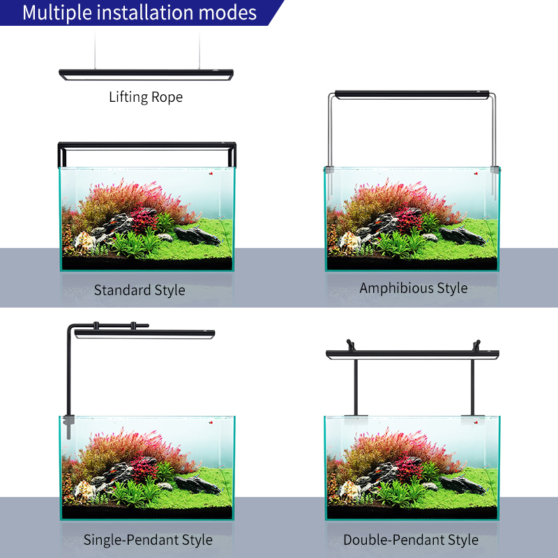 ZXY Hot Sale WEEKAQUA V400 WRG - Aquarium Plants For Sale reseña y precio