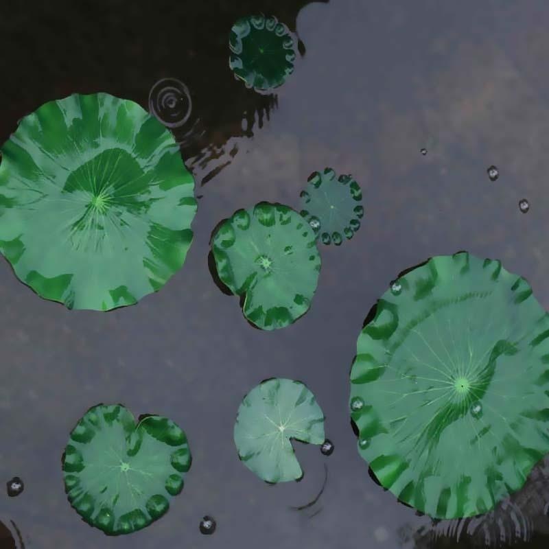 2026 Artificial Water Lily Lot - Aquarium Planted Substrate reseña y precio