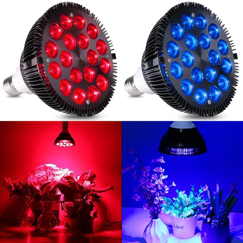 NEW Hot Sale LED Fish Tank Lig - Aquarium Plants For Sale reseña y precio