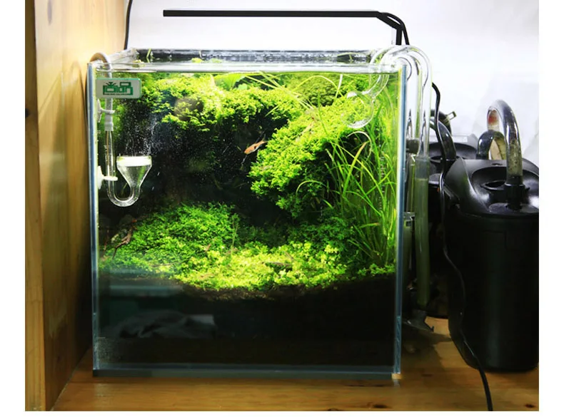 Chihiros C Series ADA Style Pl - Aquarium Plant Growth reseña y precio