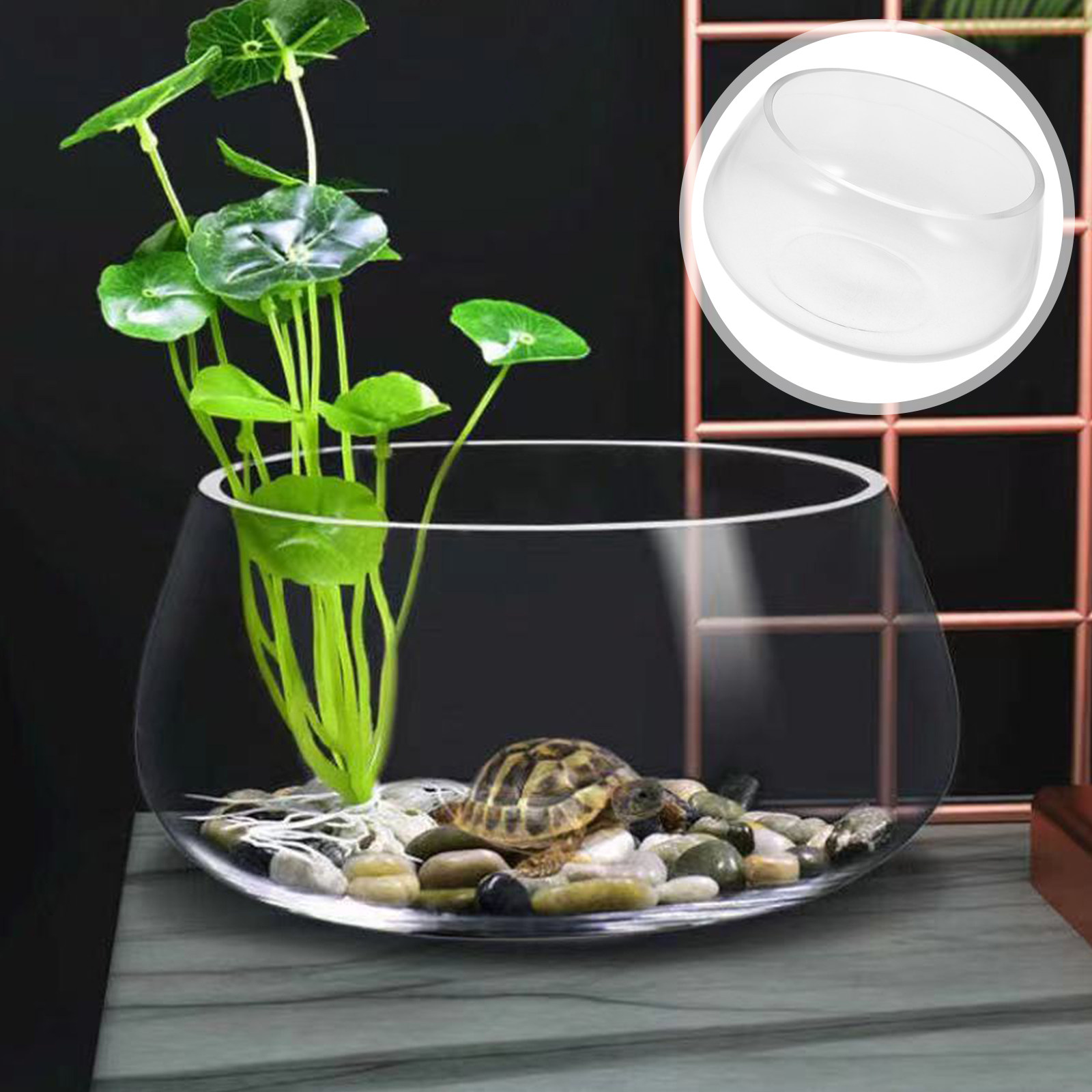 Round Mini Aquarium Tank Clear - Planted Aquarium Bowl reseña y precio