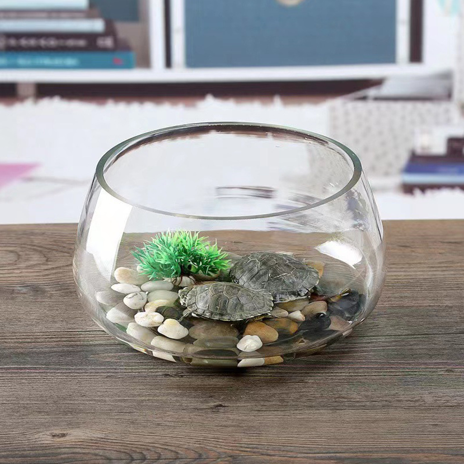 Round Mini Aquarium Tank Clear - Planted Aquarium Bowl reseña y precio