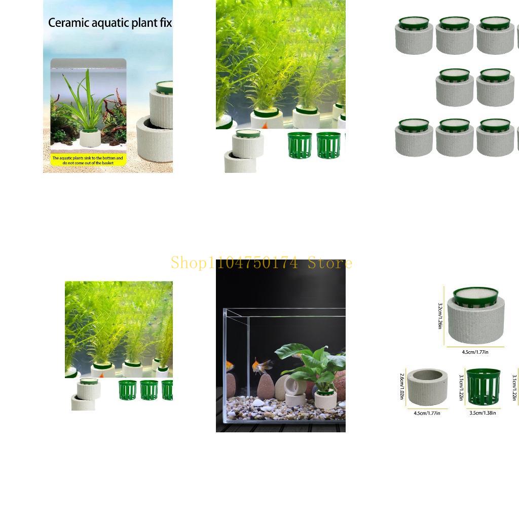 10Pcs Aquarium Plant Fixed Rin - Aquarium Plants For Sale reseña y precio