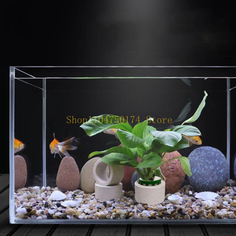 10Pcs Aquarium Plant Fixed Rin - Aquarium Plants For Sale reseña y precio