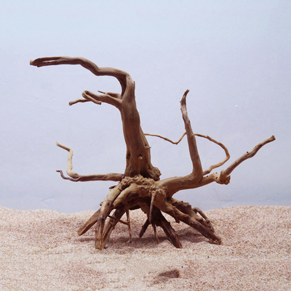 4pc Natural Driftwood Aquarium - Aquarium Plants For Sale reseña y precio