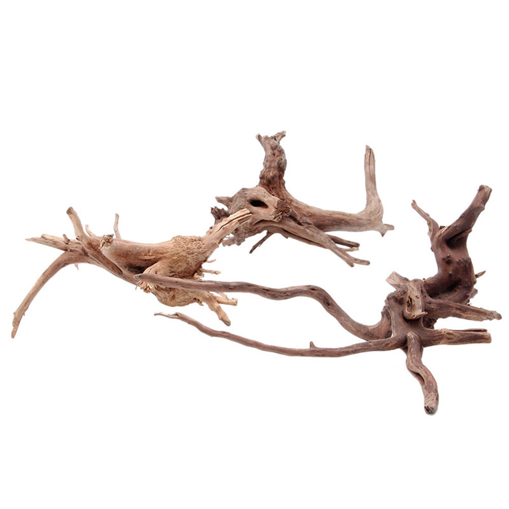 4pc Natural Driftwood Aquarium - Aquarium Plants For Sale reseña y precio