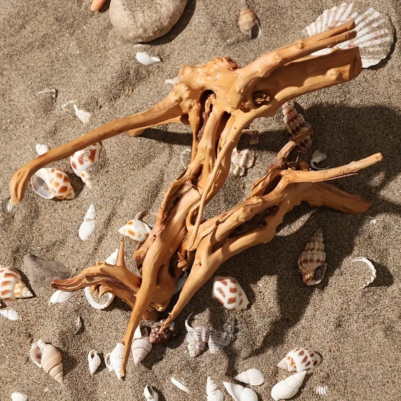 7-26CM 4 Sizes Driftwood Cucko - Aquarium Plant Guide reseña y precio