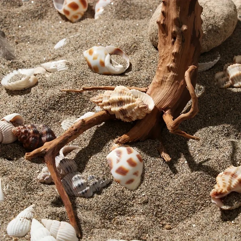 7-26CM 4 Sizes Driftwood Cucko - Aquarium Plant Guide reseña y precio