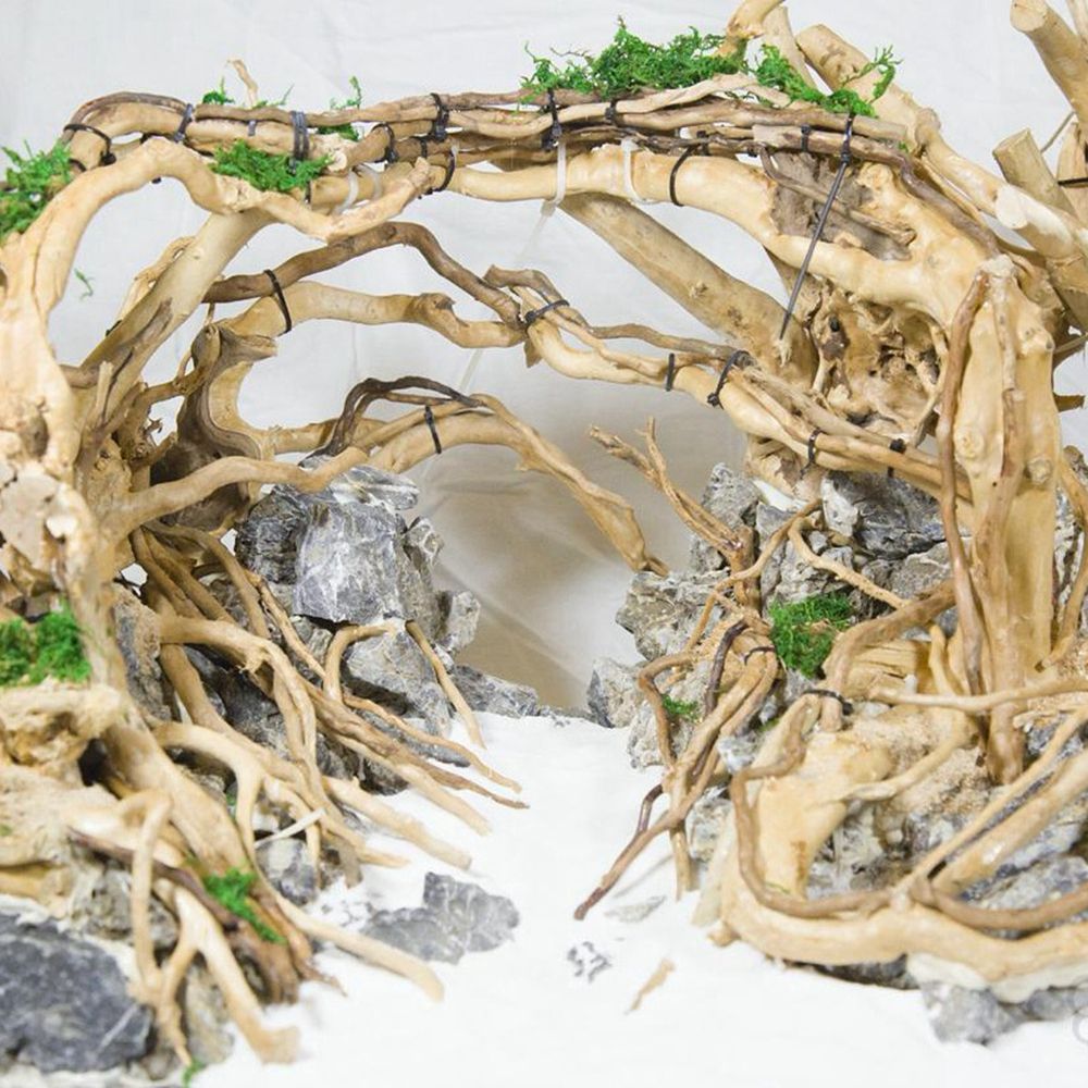 1 Pcs Wood Reptile Fish Tank O - Aquarium Planted Substrate reseña y precio