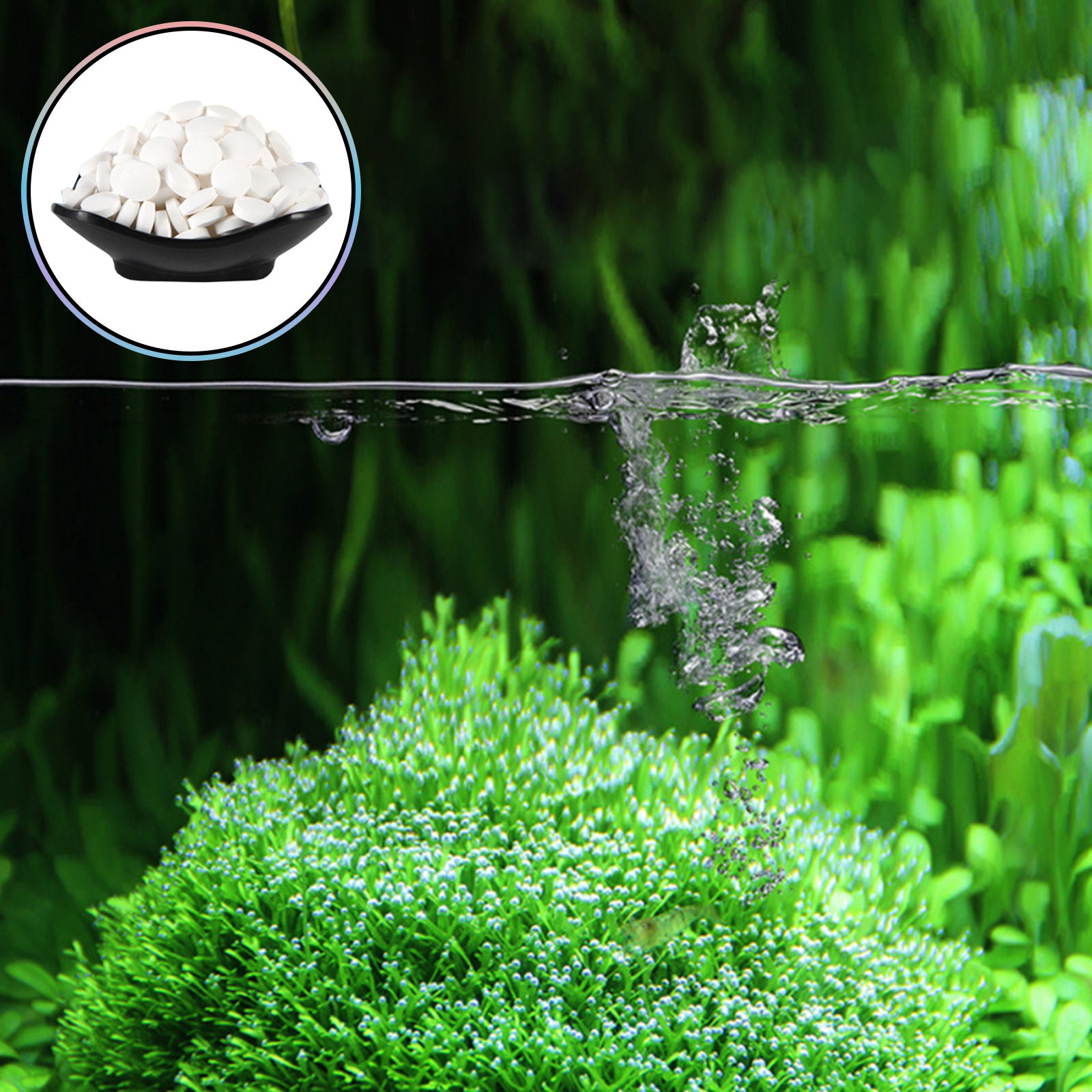 Algae Removal Tablets For Fish - Aquarium Plant Vitamins reseña y precio