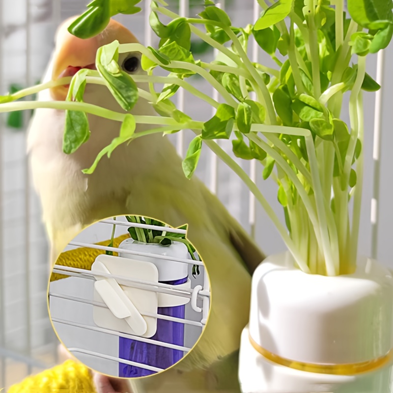 Bird-Hanging Plant Feeders Fru - Aquarium Plant Vitamins reseña y precio