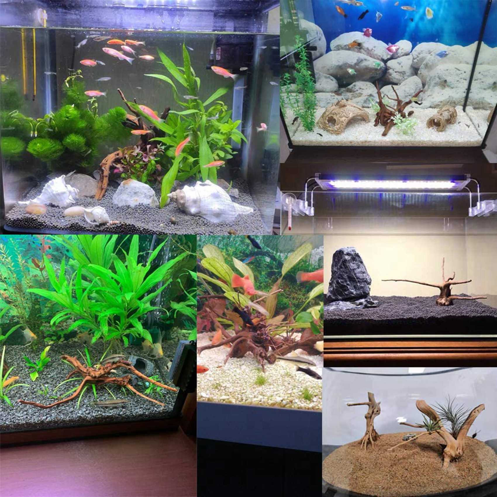 Hot Sale-Mini Driftwood For Aq - Aquarium Plant Guide reseña y precio