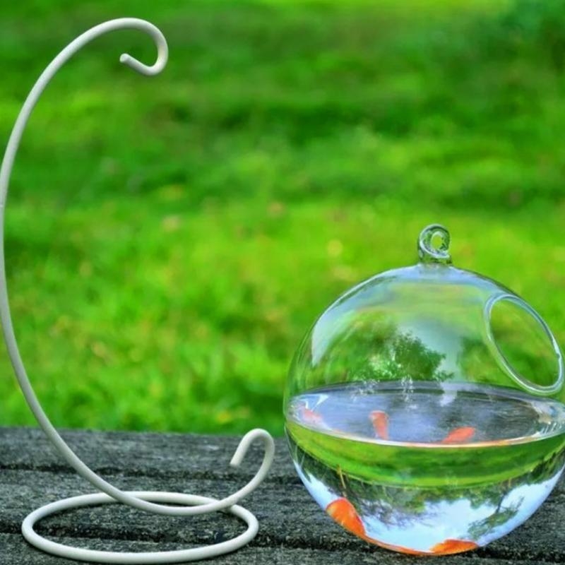 Transparent Spherical Glass Ha - Planted Aquarium Bowl reseña y precio