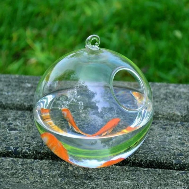 Transparent Spherical Glass Ha - Planted Aquarium Bowl reseña y precio