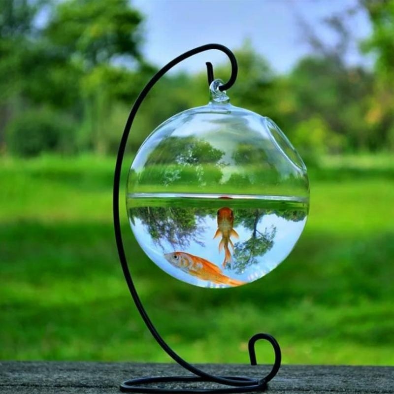 Transparent Spherical Glass Ha - Planted Aquarium Bowl reseña y precio